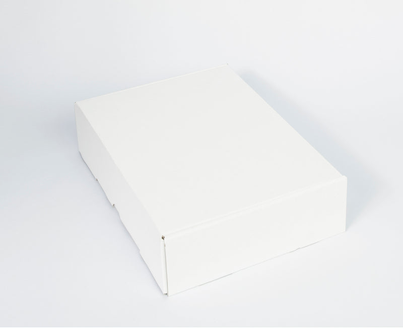 The Shipper Mailer Box - Large (pack of 25)