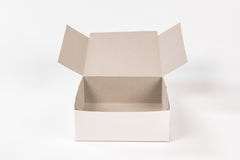 Take away box - 225mm (L) x 225mm(B) x 100mm(H)