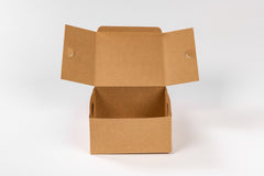 Take away box - 225mm (L) x 225mm(B) x 100mm(H)