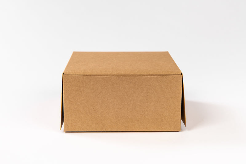 Take away box - 225mm (L) x 225mm(B) x 100mm(H)
