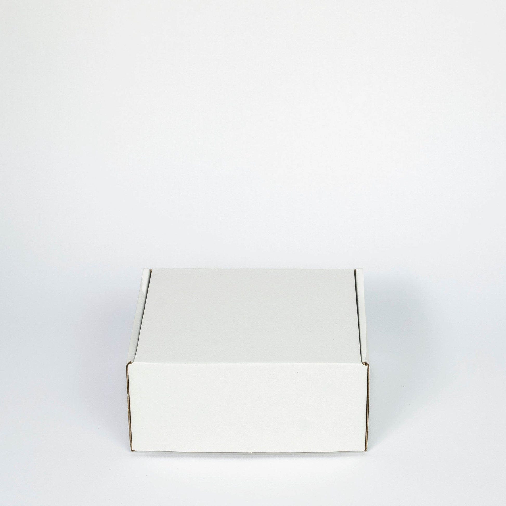 Small Shipper Mailer Box (Pack of 25)