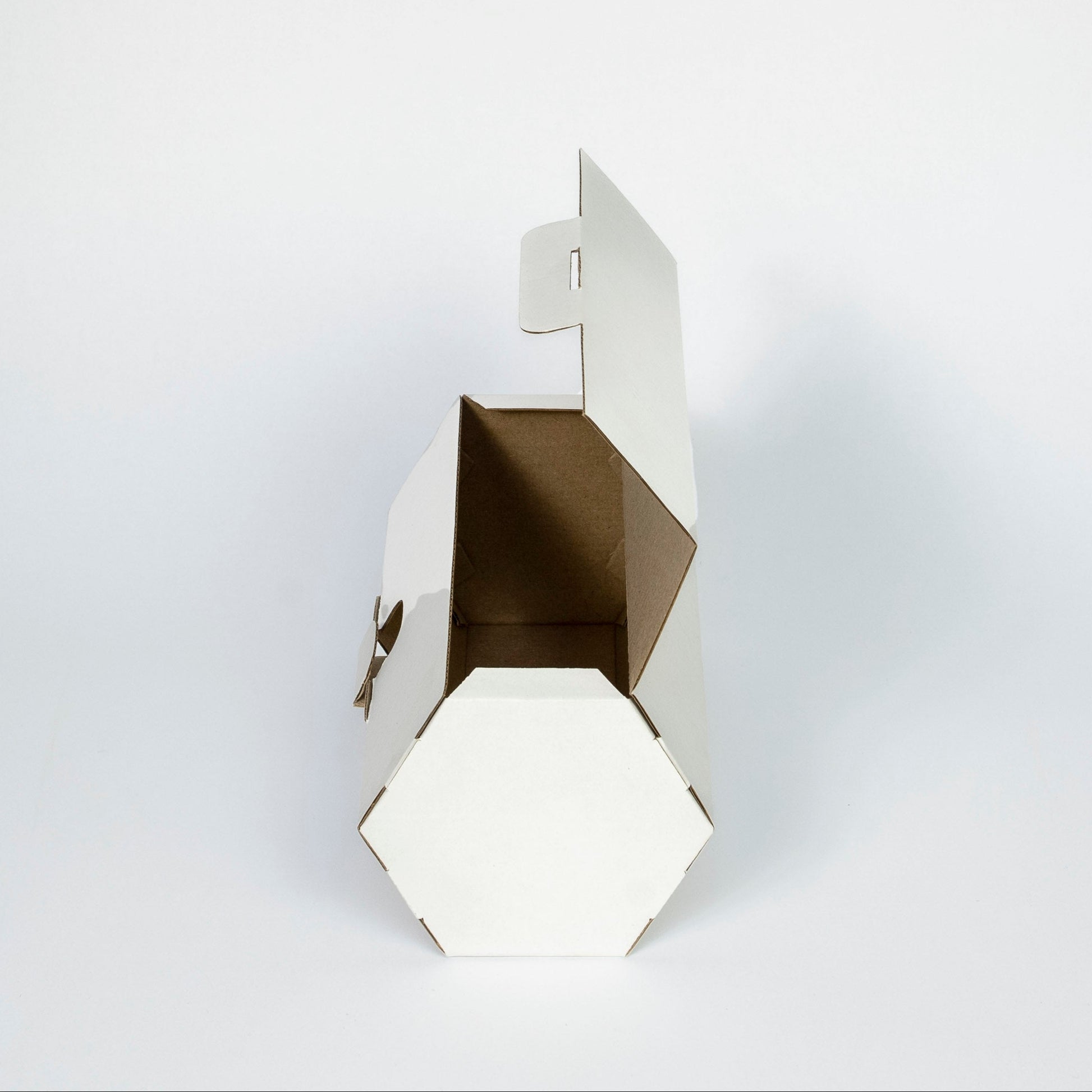 Large Hexagon Roller Box (Pack of 25)