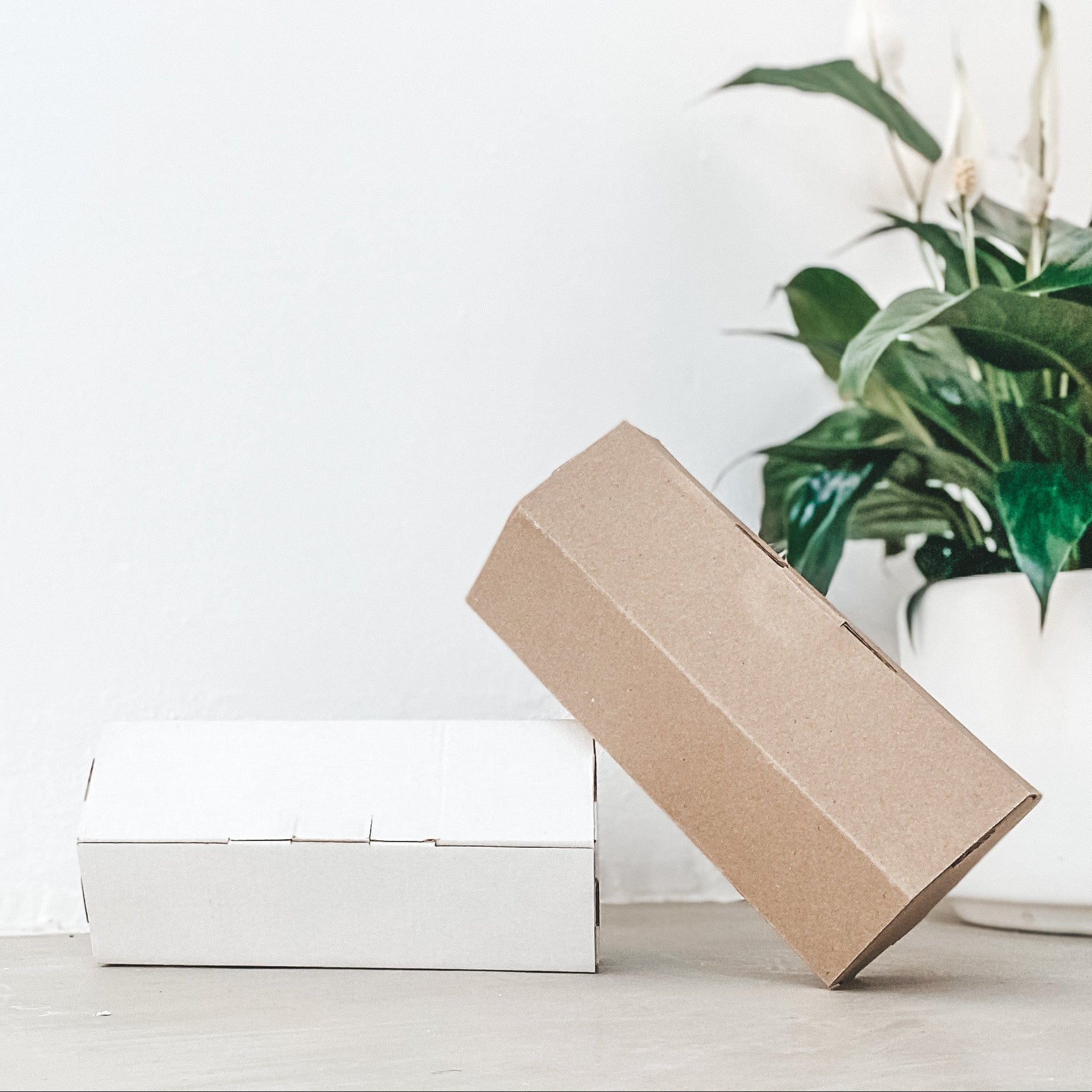 Large Hexagon Roller Box (Pack of 25)